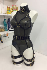 Buckles and Rings Set EU