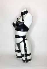 Double Lower Harness Set