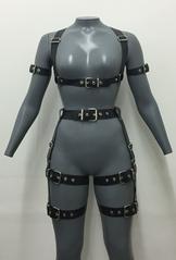 Buckle Arm Straps EU