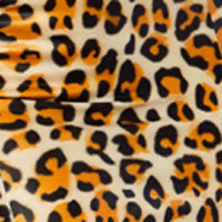 Leopard Kitty Kat Set