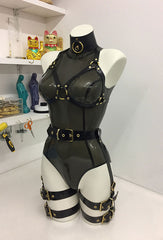 Double Lower Harness Set