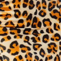 Leopard Kitty Kat Set